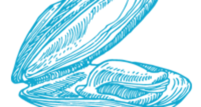 Depurazione molluschi